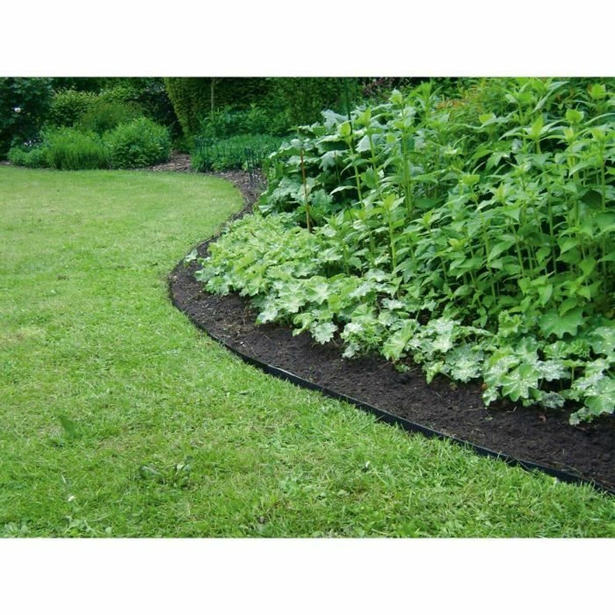 сепаратор Garden ID